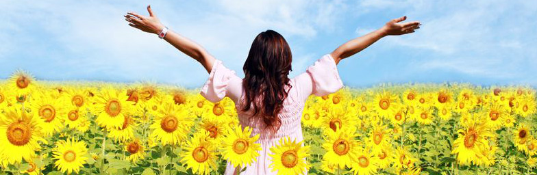 Lady in field of sunflowers with arms raised