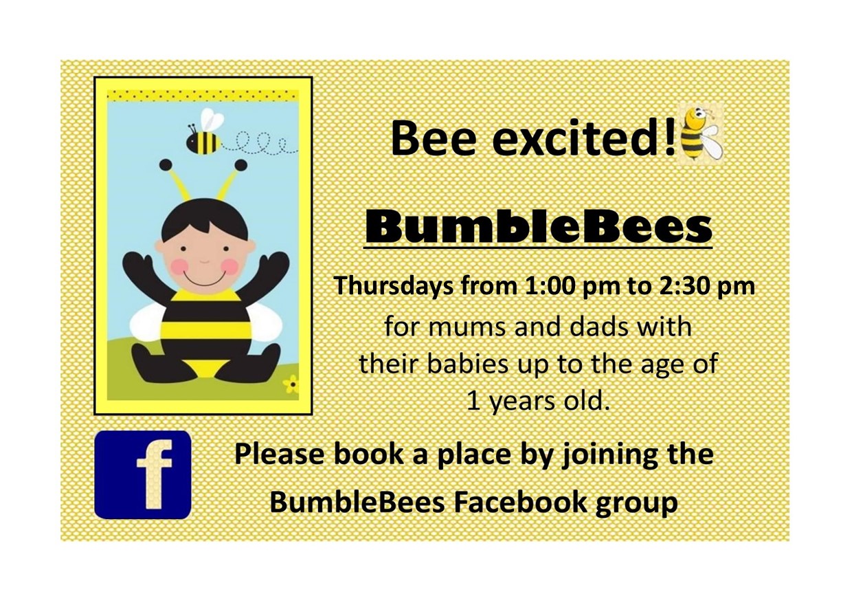 Bumblebees Thursdays
