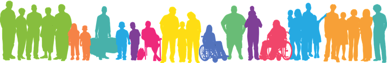 Inclusion
