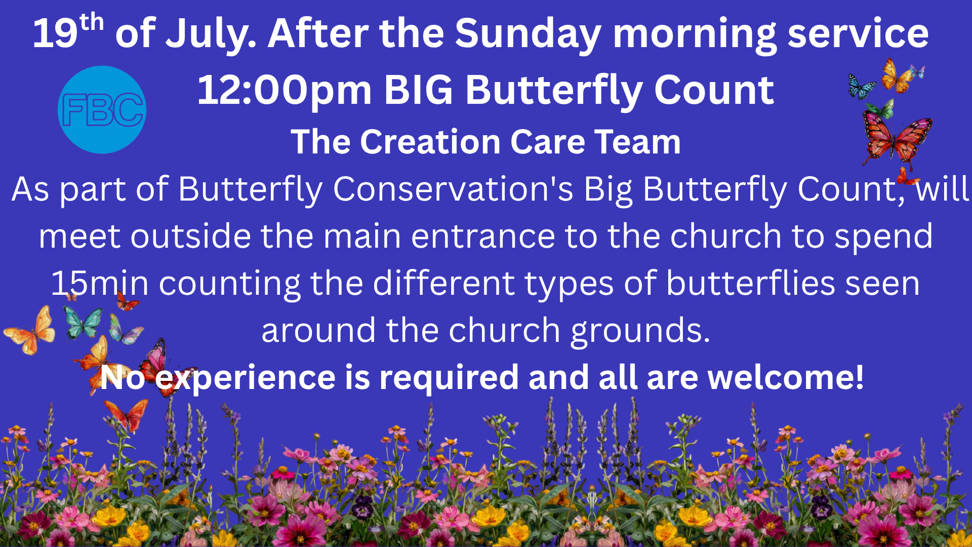 Big Butterfly Count