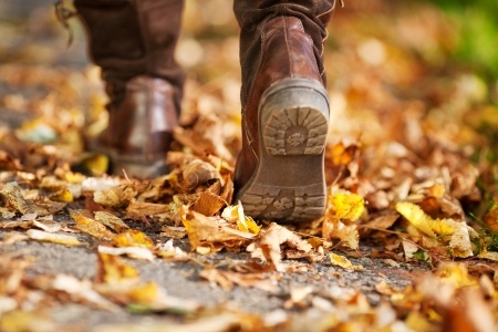 Ladies Walk