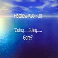 Going, Going... Gone!
