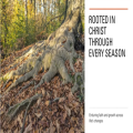 Rooted in Christ