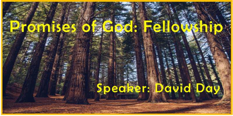 "Promises of God: Fellowship"